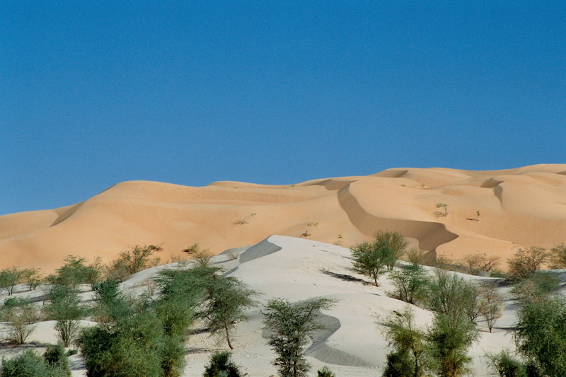 Dune bicolori vicino a Nega